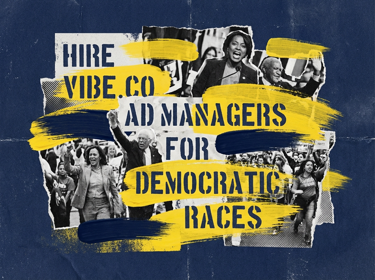 Dashboard view of Vibe.co CTV advertising platform for political campaigns